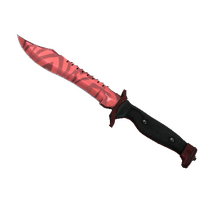 Bowie Knife