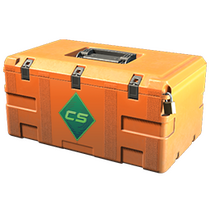 CASE